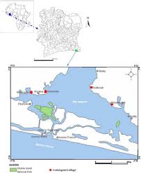 Image result for Pleioceras gilletii