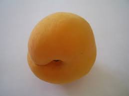 Maybe you would like to learn more about one of these? Apricot Peach Plum Free Stock Photos Download 308 Free Stock Photos For Commercial Use Format Hd High Resolution Jpg Images