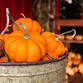 Little Bugs Learning Lab: Fall Fun event image