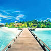 The great collection of beach wallpaper for computer for desktop, laptop and mobiles. Https Encrypted Tbn0 Gstatic Com Images Q Tbn And9gcqjtzty52nxd Izlqxvfvy4sbuwn Slcohtai H3db7ezv7uicd Usqp Cau