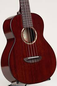 Image result for Nemum angolense