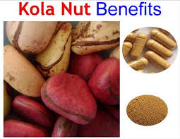 Kola Nut Health Benefits Food Cures Nuts Health Benefits Nut Benefits