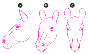How To Draw Animals Zebras And Giraffes Envato Tuts Design Illustration Tutorial Animal Drawings Zebras Zebra Art