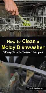 6 Easy Ways To Clean A Moldy Dishwasher Dishwasher Cleaner Cleaning Mold Cleaner Recipes