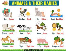 Pin On Kids Vocabulary