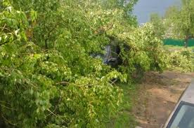 Ранее сообщалось об одном погибшем. Moshnyj Uragan S Gradom Povredil Mashiny I Doma V Tverskoj Oblasti Obshestvo Sobytiya Obshestvo Aif Tver