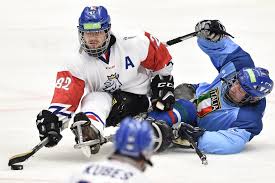 There are many types of hockey such as bandy, field hockey, ice hockey and rink hockey. Para Hokej V Cr Cesky Hokej