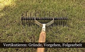 Vertikutiere nur gut etablierte rasenflächen. Warum Rasen Vertikutieren Grunde Anleitung Profi Tipps