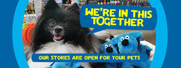 Quality products for dogs, by dogs. Wcuzhvnat62fnm