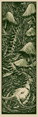 Pin By Sikwilly Adams On Illustration Concert Poster Art Ken Taylor Omg Posters