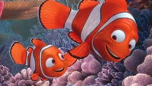Belajar mengenal binatang animasi hewan gajah, gajah besar lucu belajar mengenal hewan dan suaranya itu baik untuk. Hantu Laut Kumpulan Foto Ikan Nemo Di Dunia Nyata