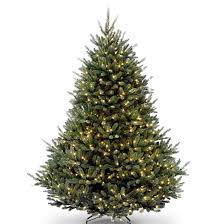 Christmas tree shops at 2053 skibo rd, fayetteville, nc 28314: Red Barrel Studio Natural Fraser Fir 7 6 Green Artificial Christmas Tree With 1200 Clear White Lights Reviews Wayfair