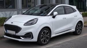 Image result for Puma 20