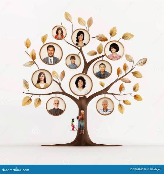 Family Tree Photo Collage: Generations Connected in a Unique Design Stock  Illustration - Illustration of greatgrandparents, memory: 376896356