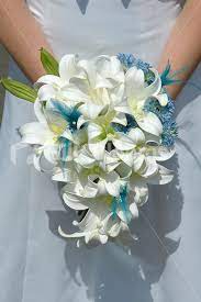 Ivory wedding flowers is our pristine selection of wholesale flowers that brides and wedding planners fall in love with every time they browse our great choices. Ivory Easter Lily Bridal Bouquet With Aqua Gerberas And Feathers Bridal Bouquet Lily Bridal Bouquet Lily Bouquet Wedding