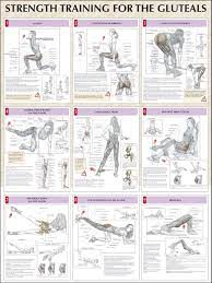 The gluteus minimus exercise overview. Pin On Now This Is My Kind Of Fitness
