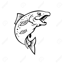 We did not find results for: Cartoon Style Illustration Of A Happy Rainbow Trout Or Salmon Royalty Free Cliparts Vectors And Stock Illustration Image 151925981