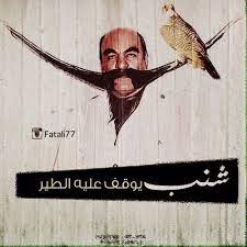 اكبر شنب تركي دب مسخرة ضحك اضحك نكتة نكته رمزيات بلاك بيري تصميمي فونتوس انستارابيك بيكسارت سنابسيد عشق غرام حب احبك طير طيور صقر صقور mostac fun poster cute