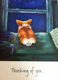 Pin By Beata Klimczyk On The Rainbow Bridge Corgi Drawing Corgi Art Corgi Dog