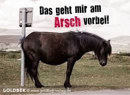 Arsch — (derb für:) »gesäß«: Pin Auf Postkarten Spruche