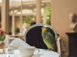 These are some of our travelers' favorite hotels in downtown riga: The 10 Best Luxury Hotels In Riga Latvia Booking Com