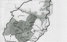 Image result for Elatostema paivaeanum