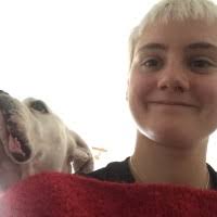 Ahoy! Berlin Information