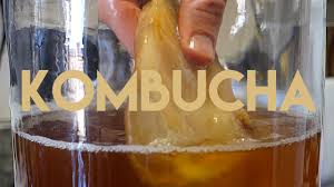 Résultat de recherche d'images pour "kombucha"