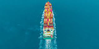 Image result for Elfenbein 1986 Fleet