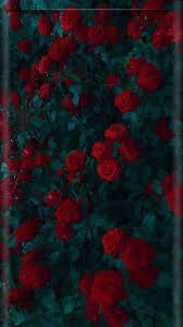Red Roses Beautiful Wallpaper Beautiful Wallpapers Floral Wallpaper Iphone Landscape Wallpaper