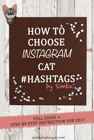 Willard centerwall began breeding asian leopard cats with. How To Choose Instagram Cat Hashtags Full Guide With 347 Examples
