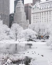 Maybe you would like to learn more about one of these? Pin On New York