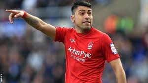 Fsv mainz 05, nottingham forest, west bromwich albion, brighton & hove albion. Gonzalo Jara Alchetron The Free Social Encyclopedia