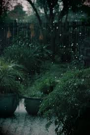 If you wish to know various other wallpaper, you can see our gallery on sidebar. Dark Green Aesthetic Wallpapers Top Free Dark Green Aesthetic Backgrounds Wallpaperaccess