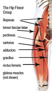 For example, one study found athletes who did hip flexor exercises as. Unlock Your Hip Flexors Rick Kaselj Review Fitnessfixedgear Com