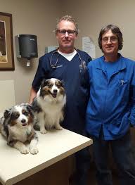 Cabot Ar Jacksonville Cabot Vet Clinic Home