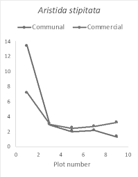 Image result for Aristida stipitata