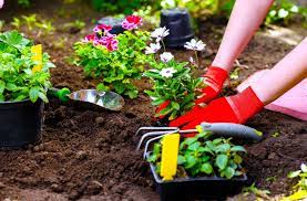 Learn how to choose plants for size and color, layer your planting, and practice preventive weed control as demonstrated in a sample flower the most important step to planting a new flower bed is to visualize the future. Flower Gardening For Beginners A Guide To Growing Your Dream Garden