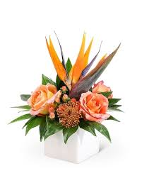 Standard shipping and same day delivery charges start as low as $17.99, though prices may vary per delivery location or calendar day. New Horizon In Fort Pierce Fl Giordano S Floral Creations