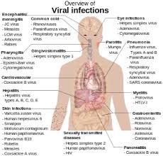 New Svg Image Medical Knowledge Medical Education Medical