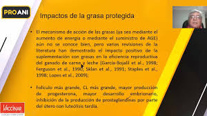 Sa ai o viata plina de fericire si impliniri! Pro Ani Srl Charlasproanisrl Tema Experiencias