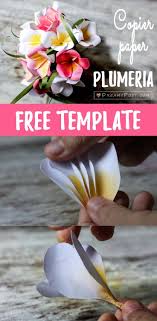 Pin On Paper Flowers