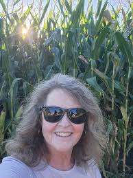 Mentor model at schools for robotics programs