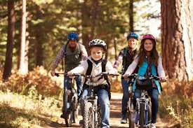 Te recomiendo hacer el ejercicio con frecuencia para fortalecer tu abdomen con el paso del tiempo. Cuales Son Los Beneficios De La Bicicleta Fija Ideas Mercado Libre Argentina