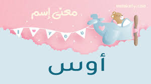 معنى اسم أوس وصفات من يحمل هذا الاسم بيتى مملكتى