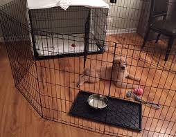 It is not available directly through debby kay. Daytime Crating Crate Vs Crate X Pen Combo Puppy101