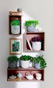 Sounds like a perfect arrangement for the bedroom, right? Feng Shui Plants For Harmony And Positive Energy In The Living Room Houseplants Indoor Living Room Plants Plant Decor Indoor