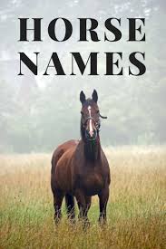 Last updated 1 year ago on july 27, 2019 by rankedboost. 250 Awesome Horse Racehorse Names Pethelpful By Fellow Animal Lovers And Experts