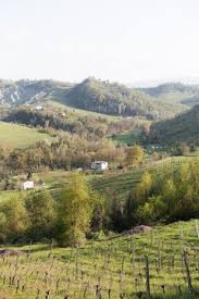 I'm a writer and photographer telling stories in the fields of food, travel and lifestyle. Fotos Bilder Stockmedien Von Jessica Jungbauer Adobe Stock