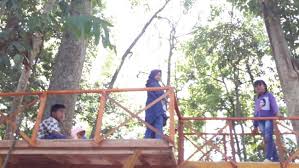 Demikian proposal ini kami susun sebagai acuan pelaksanaan kegiatan. Kades Jenetallasa Manfaatkan Hutan Sebagai Sarana Desa Wisata